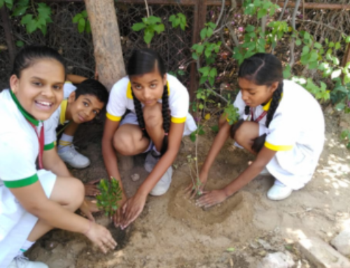 Sand-Castle Activity